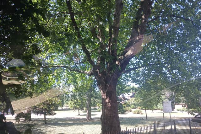 Summerfield Park on the Dudley road