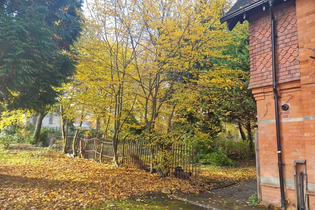 Garden behind Handsworth Park's Lodge House
