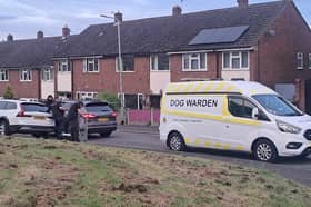 Armed police and a dog warden was seen at the scene of the incident today