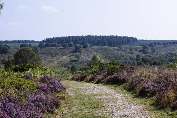 Areas like Cannock Chase will be part of the strategy
