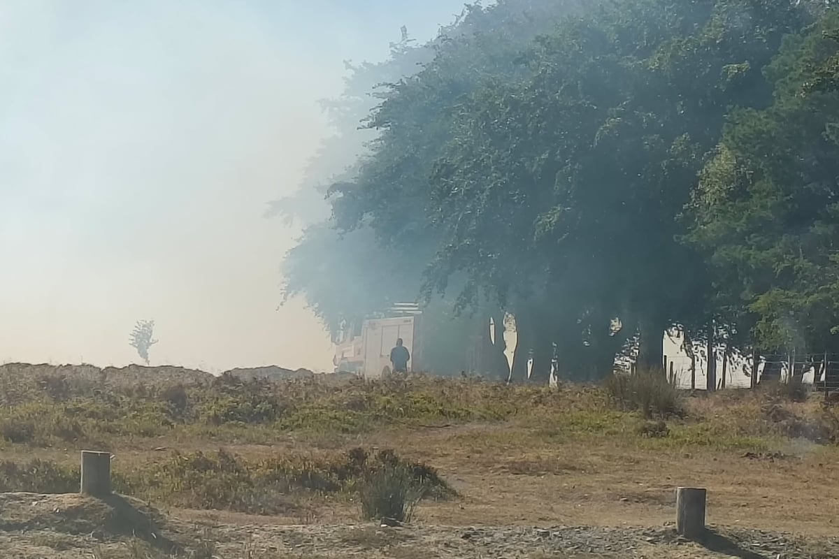 National Trust Closes Long Mynd Roads After Wildfire
