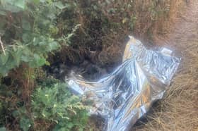A Claverley resident took this photo of the dead horses covered up this morning