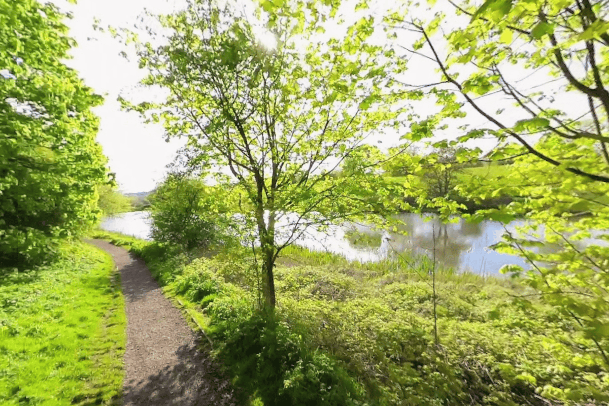 Deliberate Fire Destroys One Acre of Grass at Black Country Reserve
