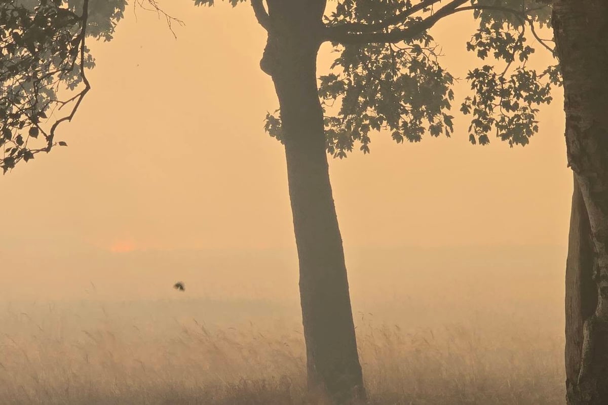 Sandwell Community Praised After Golf Course Fire Destroys Homes