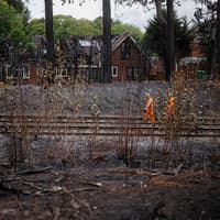Call for disposable barbecue ban and fire-fighting planes after Stourbridge wildfire destroys 19 homes