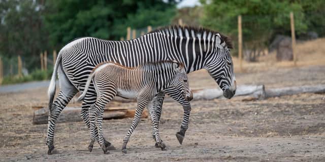 Ozara with mum (WMSP)