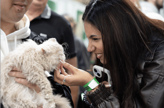 The Cat Show Live will return to Birmingham's NEC next month