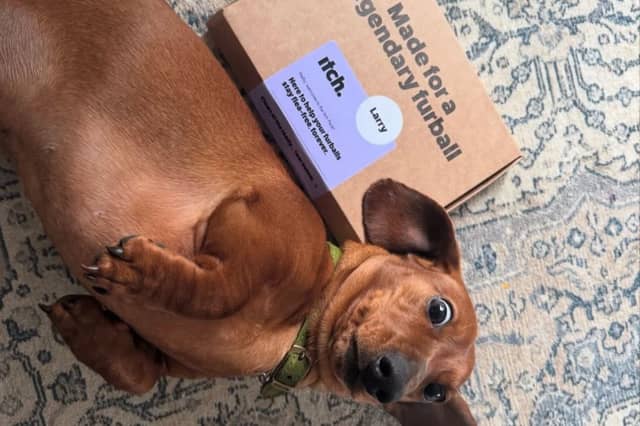 I’m a pet owner and my dog Ellie loves the sofa, so this is one thing I don’t want in my home