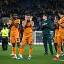 Wolves players at full-time