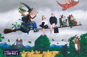 Room on the Broom - Twycross Zoo