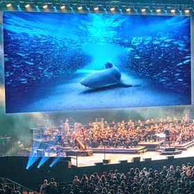 Blue Planet live show