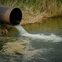 Severn Trent-owned water firm to pay £280,000 after sewage spill failures