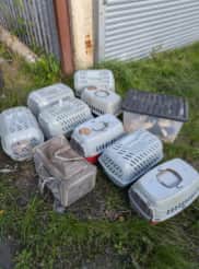 26 cats and kittens were found in sealed plastic boxes and carriers, dumped beside flytipped rubbish in a Birmingham alleyway