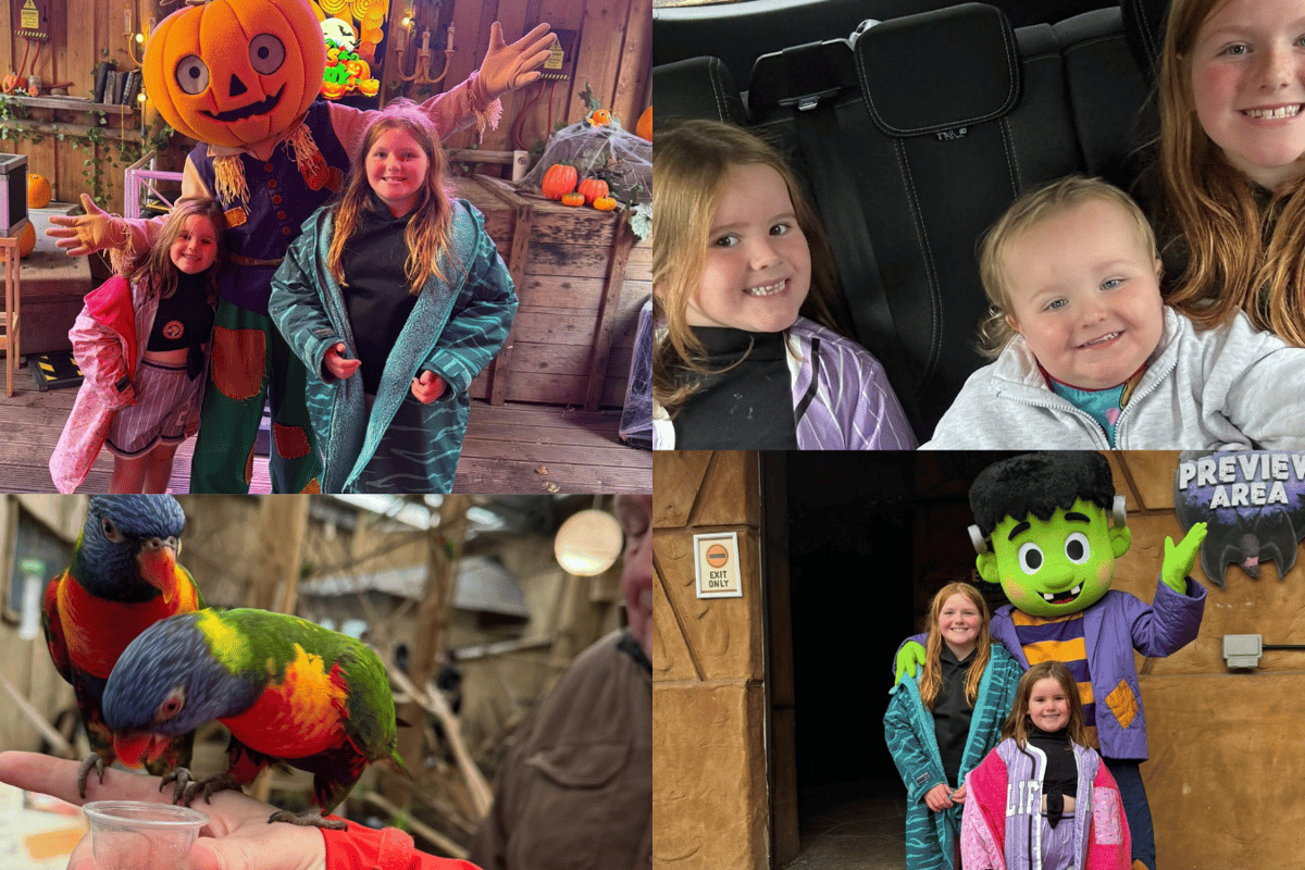 West Midlands attraction reopens with Halloween and festive events