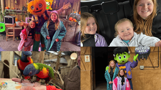 We visit West Midlands Safari Park Spooky Spectacular