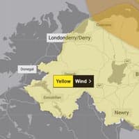 West Midlands gardeners warned to 'protect your plants' during wet and windy Storm Austen
