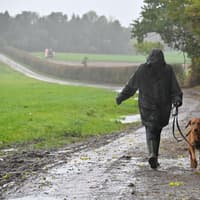 West Midlands set for wet and windy start to half term after storms pass, forecast warns
