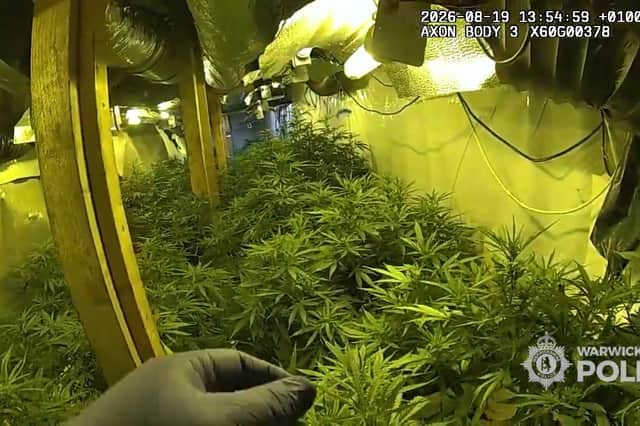 Cannabis worth up to £500,000 was found in underground bunkers