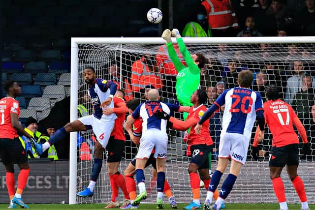 Jed Steer punches the ball away against West Bromwich Albion on Saturday