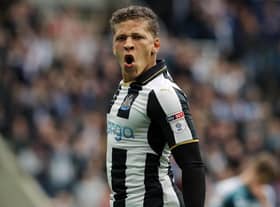 Dwight Gayle in Newcastle United colours. Photo: Owen Humphreys/PA Wire
