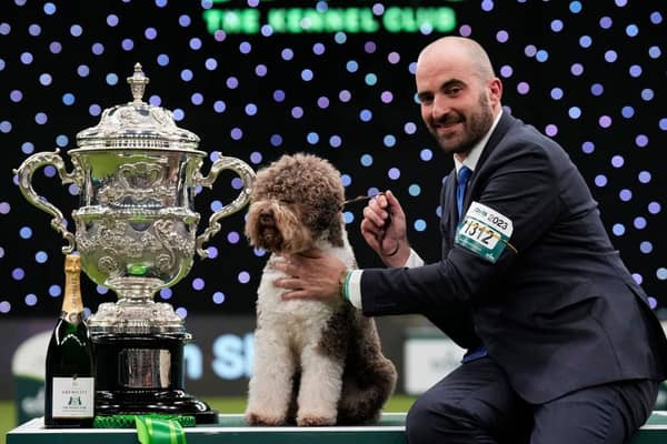 The last Best in Show winner of Crufts, in 2023, was Orca - a Lagotto Romagnolo who had already won the gundog group. He's pictured with handler Javier Gonzalez Mendikote and is owned by Sabina Zdunić Šinković and Ante Lučin from Croatia.