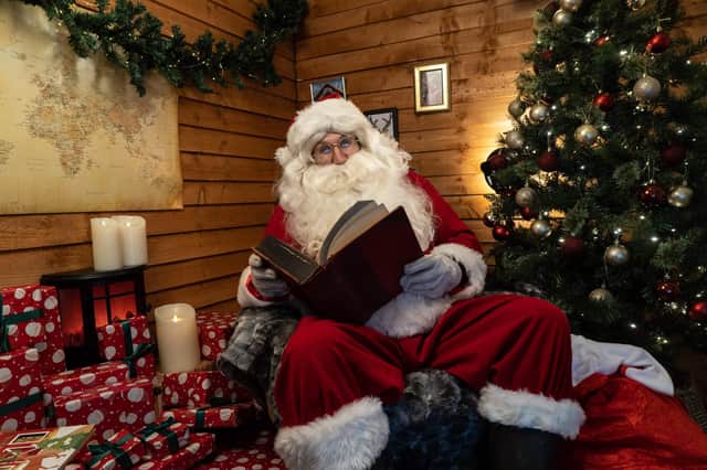 <p>Santa Claus at his grotto. Picture: Niklas HALLE'N/AFP via Getty Images.</p>