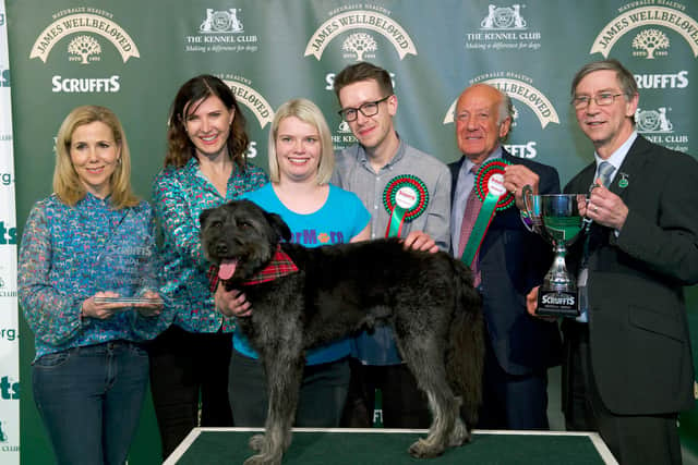 Scruffts Final winners on the third day of Crufts 2020. Pic: Sandy Young/Flick.digital