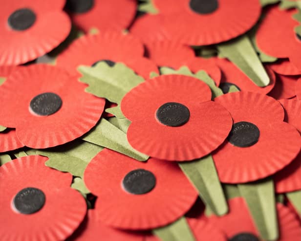The new plastic-free poppy is full recyclable. Picture: Royal British Legion/Matt Alexander