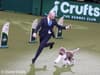 Crufts 2024: Full list of competitions and displays at NEC Birmingham