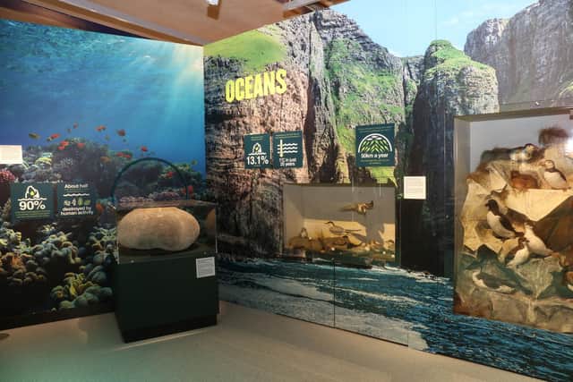 Our Changing Planet exhibition at Thinktank