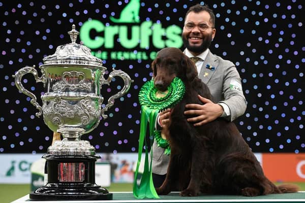 Baxter the Flat Coated Retreiver won Best in Show at Crufts last year.