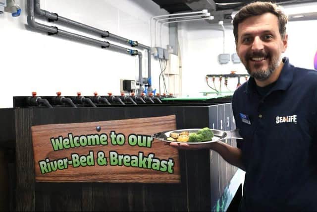 Birmingham attraction leads the way with essential conservation for ...