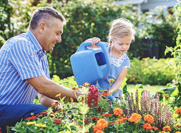 <p>August often means summer holidays away from home – but it is important to not neglect your garden. Ask friends, family, and neighbours to water plants and flowers</p>