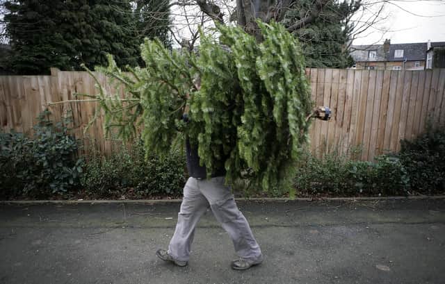 Christmas tree recycling available in Birmingham  (Photo: Leon Neal/AFP via Getty Images)