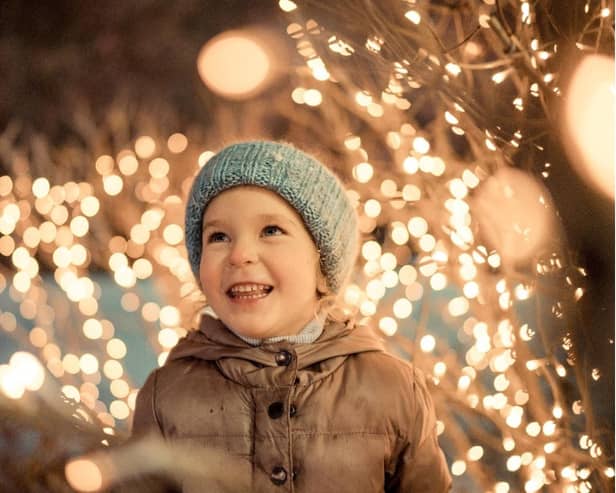 Christmas lights stock image (generic image: Adobe Stock/rimmdream)
