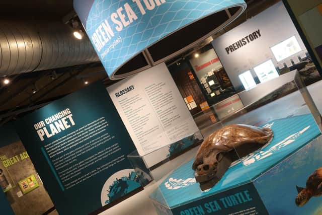 Our Changing Planet exhibition at Thinktank