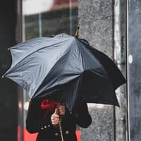 Yellow wind warning: Exact times and what to expect from Storm Austen in West Midlands and Shropshire